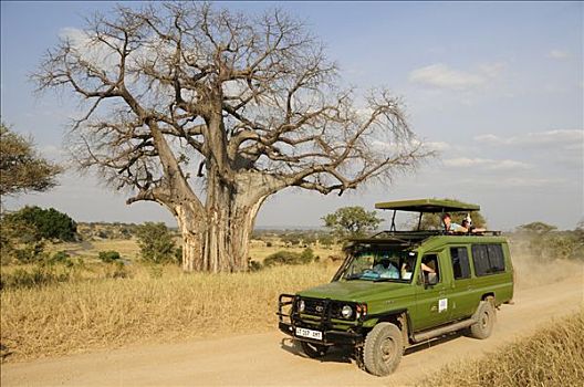 游客,猴面包树,旅行队,四轮驱动,交通工具,公园,坦桑尼亚,非洲