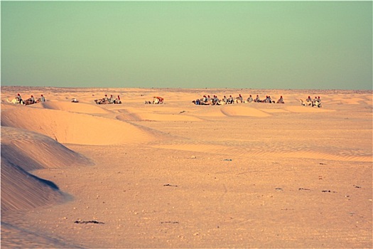 突尼斯,撒哈拉沙漠,靠近,杜兹