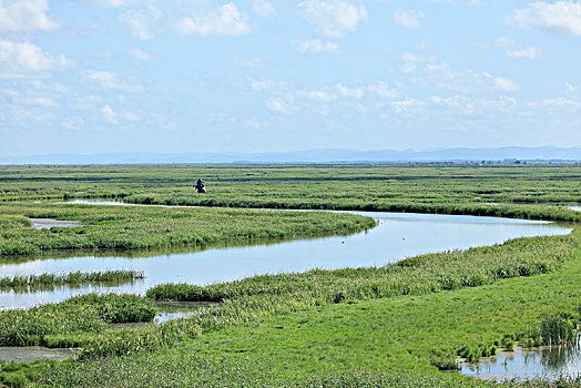 雁窝岛湿地,湿地
