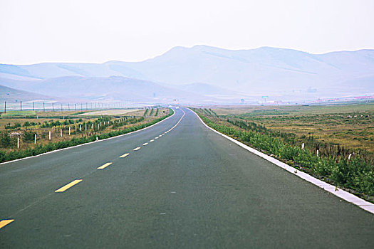 草原的公路