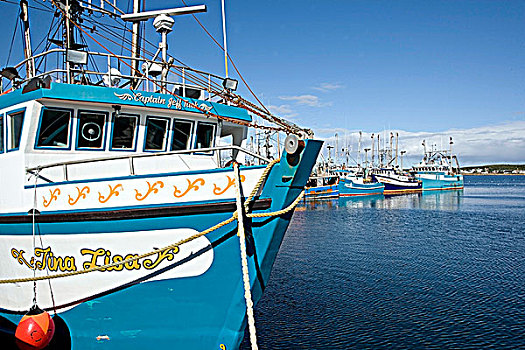 渔船,停靠,卡塔琳娜,码头,纽芬兰,加拿大