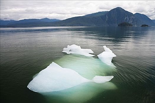 浮冰,东南阿拉斯加,美国