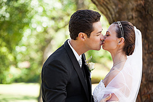 浪漫,新婚夫妇,吻,公园