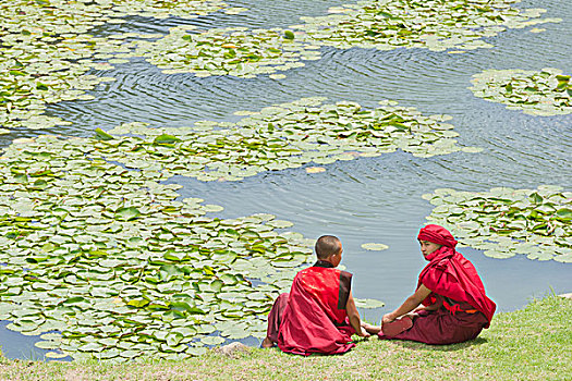 僧侣,坐,靠近,水塘