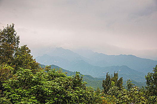 茂密的树林和隐现的山峰