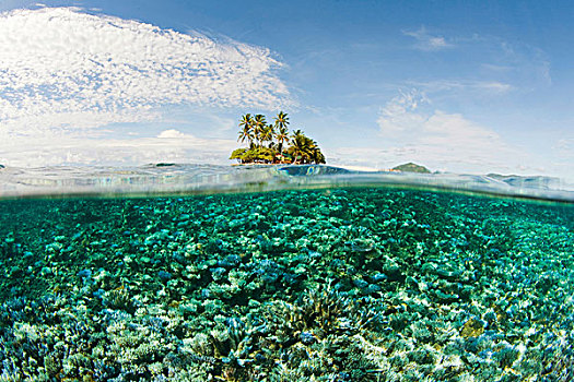 岛屿,密克罗尼西亚,太平洋