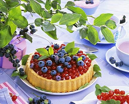 夏天,红浆果,蓝莓,果馅饼