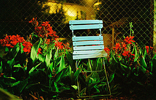 蓝色,椅子,中间,红色,花,后面,栅栏,夜晚,法国