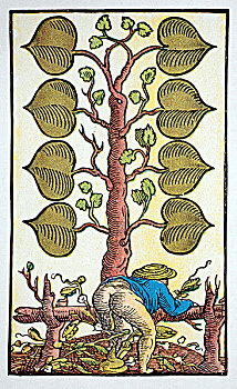 纸牌,粗俗,图像,16世纪