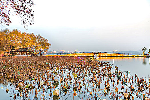 杭州西湖断桥秋景