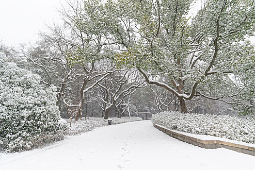 武汉,东湖,雪景