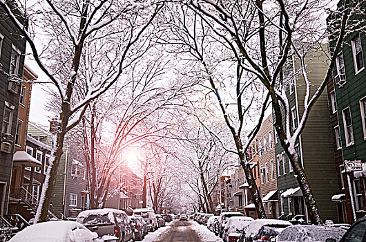 冬天,早晨,纽约