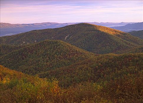 褐色,山,树,秋色,仙纳度国家公园,弗吉尼亚