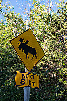 麋鹿,标识,赖丁山国家公园,曼尼托巴,加拿大