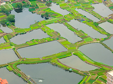 广西梧州,蔬菜鱼塘经济,促进农民增收