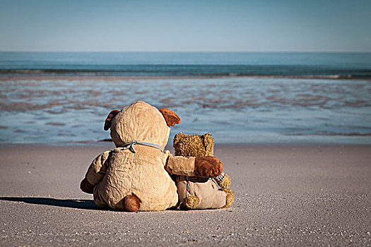 泰迪熊,坐,沙滩,搂抱,朋友,看,海洋