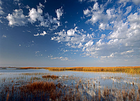 湿地,国家海岸,德克萨斯