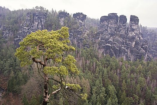 岩石构造,砂岩,山峦,德国