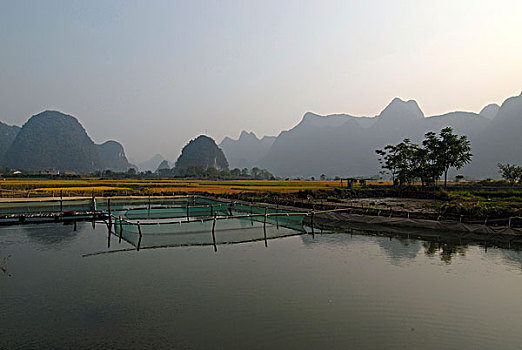 鱼,农事,水塘,靠近,阳朔,玉龙,河,正面,树,喀斯特地貌,石头,桂林,亚洲