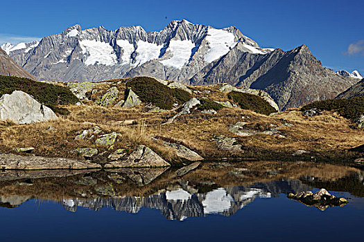 反射,山峦,瓦莱,瑞士,欧洲