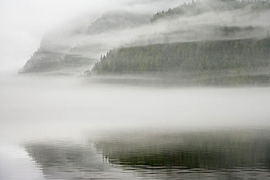 加拿大,不列颠哥伦比亚省,岛屿,雾气,雾,水,树林