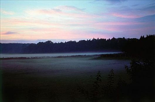 晚间,薄雾,靠近,石荷州,德国,欧洲