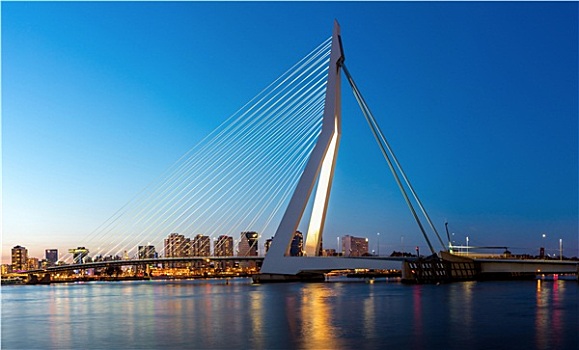 桥,鹿特丹,全景