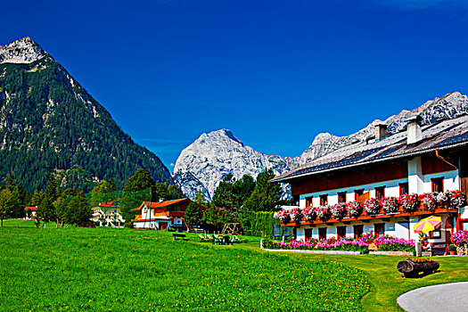 传统,阿尔卑斯山,乡村,夏天,风景