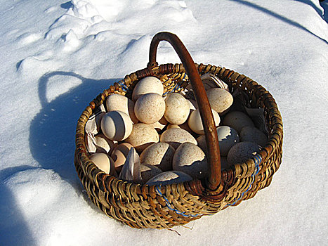 篮子,蛋,成本费用,雪