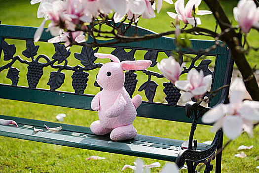 玩具,兔子,公园长椅