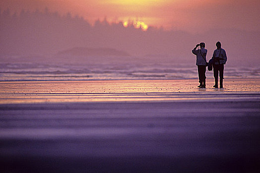 年轻,情侣,走,海滩,长滩,环太平洋国家公园,自然保护区,温哥华岛,不列颠哥伦比亚省,加拿大