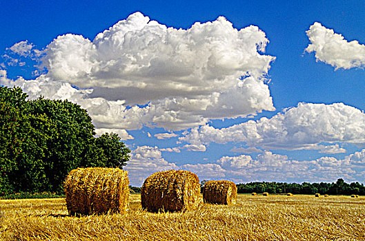 稻草,积雨云,云,靠近,曼尼托巴,加拿大