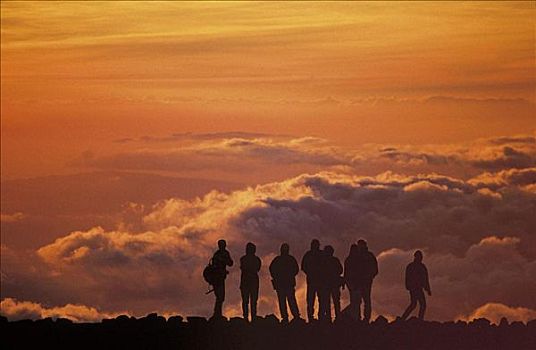 哈莱亚卡拉国家公园,人,攀登,山峦,跋涉,群体,日出,云,黎明,橙色,全景,北美,世界遗产