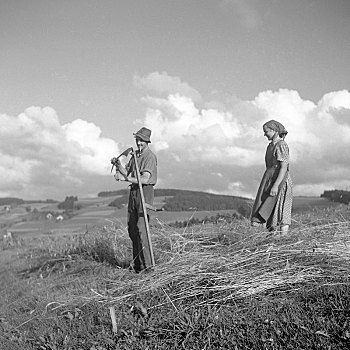 男人,女人,收获,谷物,20世纪50年代,靠近,德国,欧洲