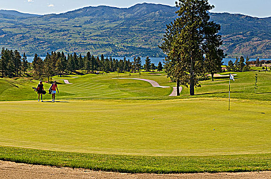 两个,女青年,享受,走,向上,高尔夫球道,途中,绿色,鹰,高尔夫球场,不列颠哥伦比亚省,加拿大