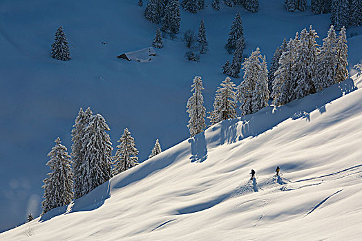 滑雪,旅游,兰格丽斯,巴伐利亚,上巴伐利亚,德国