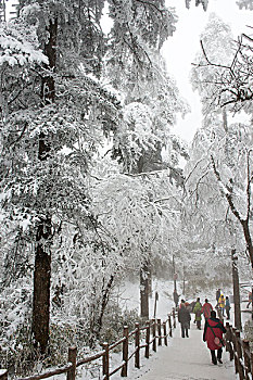 四川,峨眉山,冰雪雾凇,徐学哲摄影,尼康,年,月