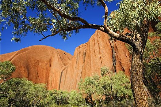 澳大利亚,北领地州,乌卢鲁卡塔曲塔国家公园,峡谷,走,乌卢鲁巨石,艾尔斯巨石