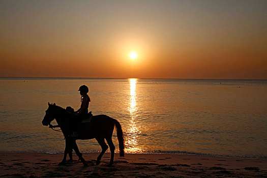夕阳下骑马的女子