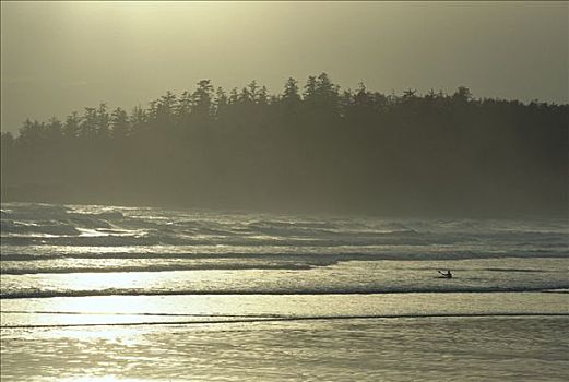 皮划艇手,海浪,长滩,格里夸湾,温哥华岛,不列颠哥伦比亚省,加拿大