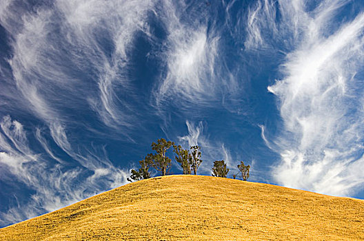 云,蓝天,树,山顶,加利福尼亚,美国