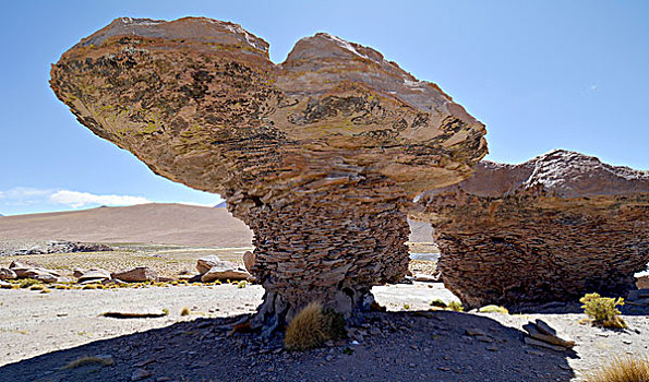 蘑菇,石头,岩石构造,风,腐蚀,乌尤尼盐沼,玻利维亚,南美
