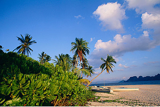 热带沙滩,埃尔尼多,巴拉望岛,菲律宾