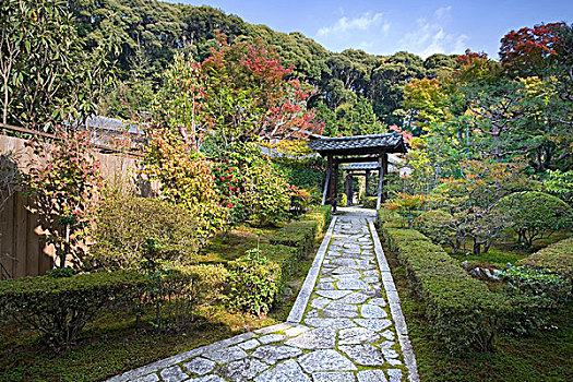花园,庙宇,京都,日本