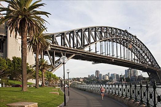 澳大利亚,新南威尔士,早晨,慢跑者,悉尼海港大桥