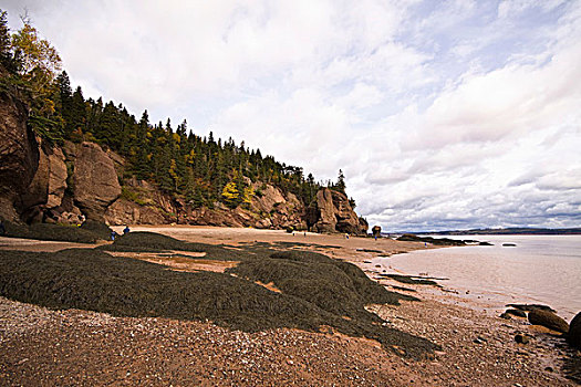 广角,霍伯威尔岩,芬地湾,新布兰斯维克,加拿大