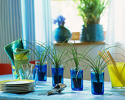 四个,蓝色,玻璃杯,小瓶,棕榈树,桌饰