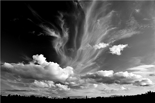 风卷残云形态图片