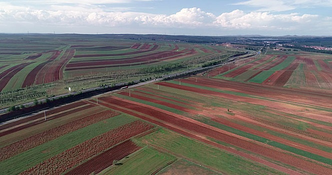 内蒙古武川县,夏季雨后红土地,红绿相间美翻了高原