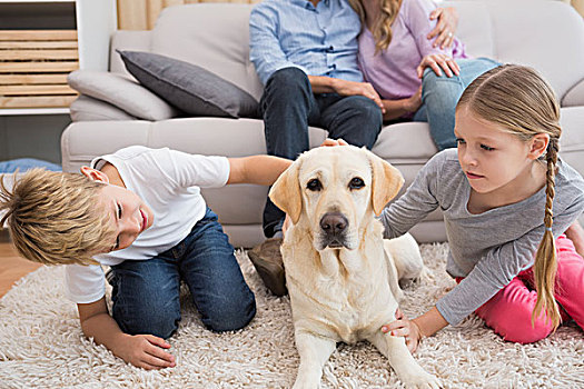 父母,看,孩子,地毯,拉布拉多犬